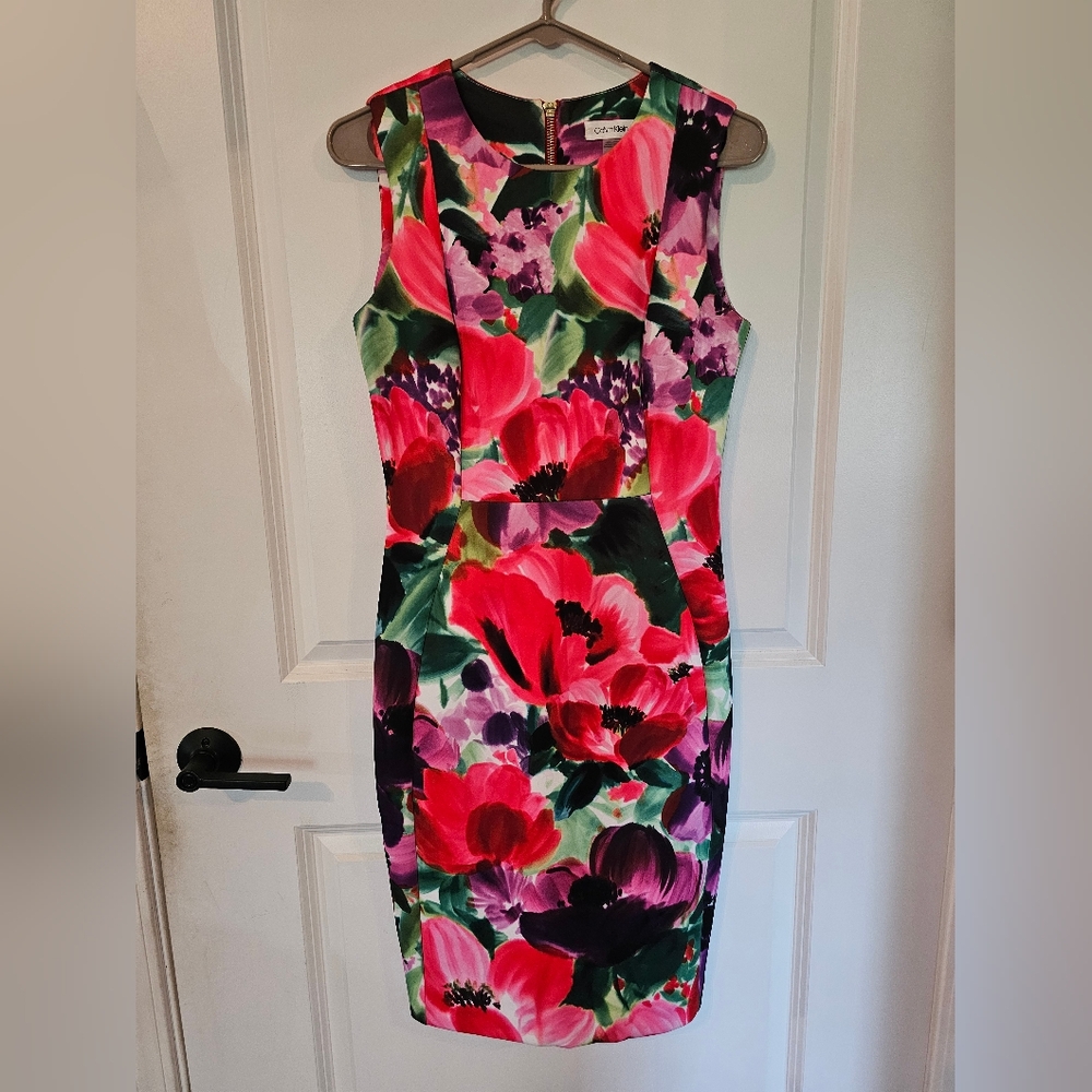 Calvin Klein Floral Midi Dress - Red and Purple